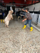 Fotoğraf Galerisi