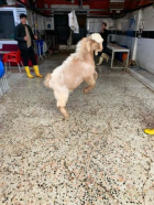 Fotoğraf Galerisi