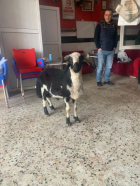 Fotoğraf Galerisi