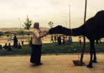 Fotoğraf Galerisi
