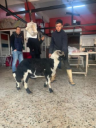 Fotoğraf Galerisi