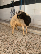 Fotoğraf Galerisi