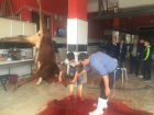 Fotoğraf Galerisi