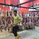 Fotoğraf Galerisi