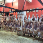 Fotoğraf Galerisi