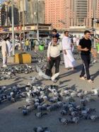Fotoğraf Galerisi