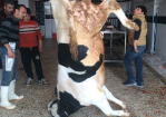 Fotoğraf Galerisi