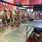 Fotoğraf Galerisi