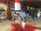 Fotoğraf Galerisi